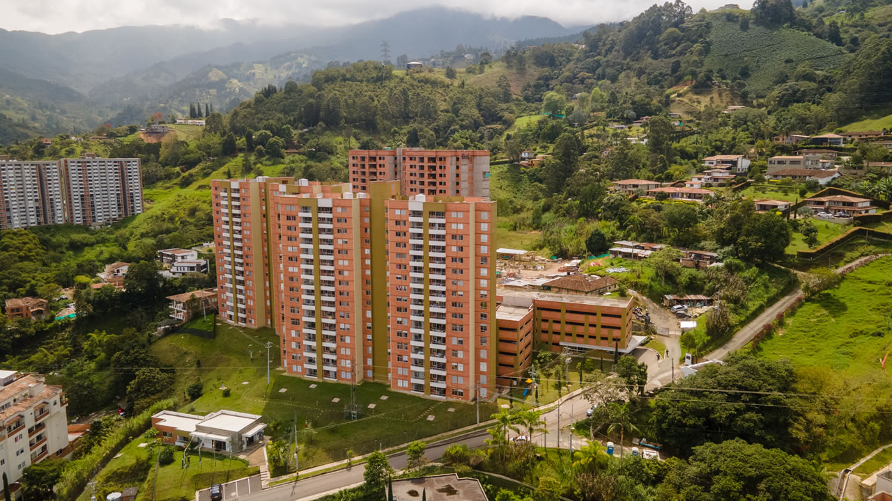 FORESTA